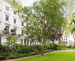 ovington square